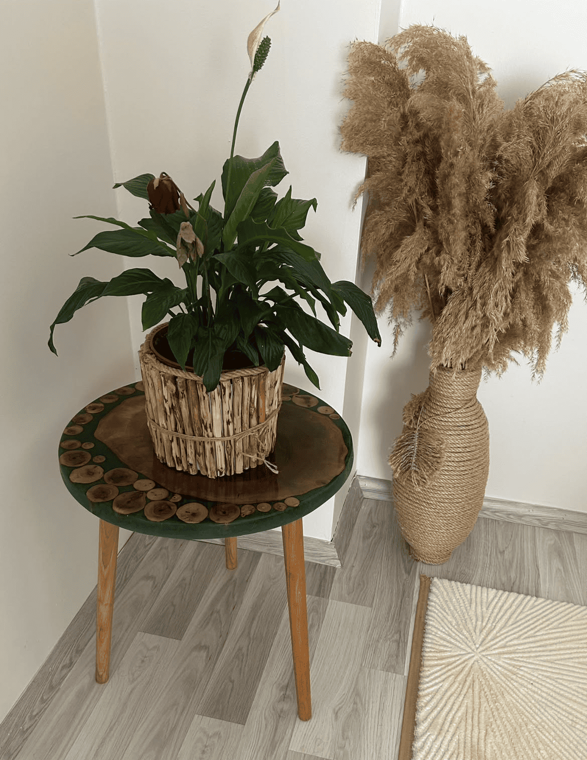 Potted plant on a small round table with decorative elements in a room.